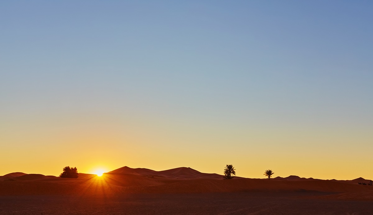 Curious about what a morning desert safari involves?